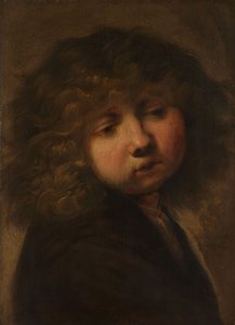 少年の頭 作： Rembrandt van Rijn